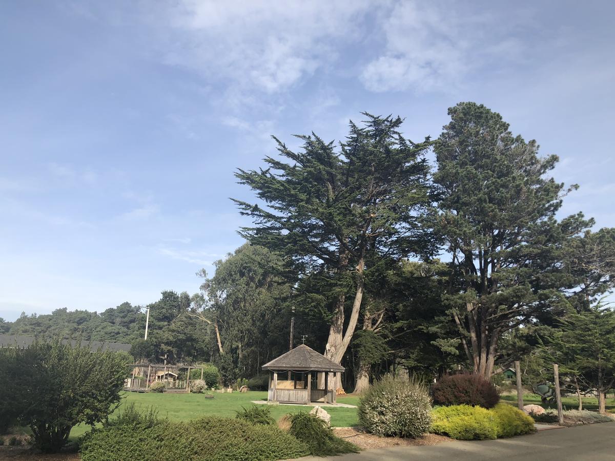 Pine Beach Inn Fort Bragg Zewnętrze zdjęcie