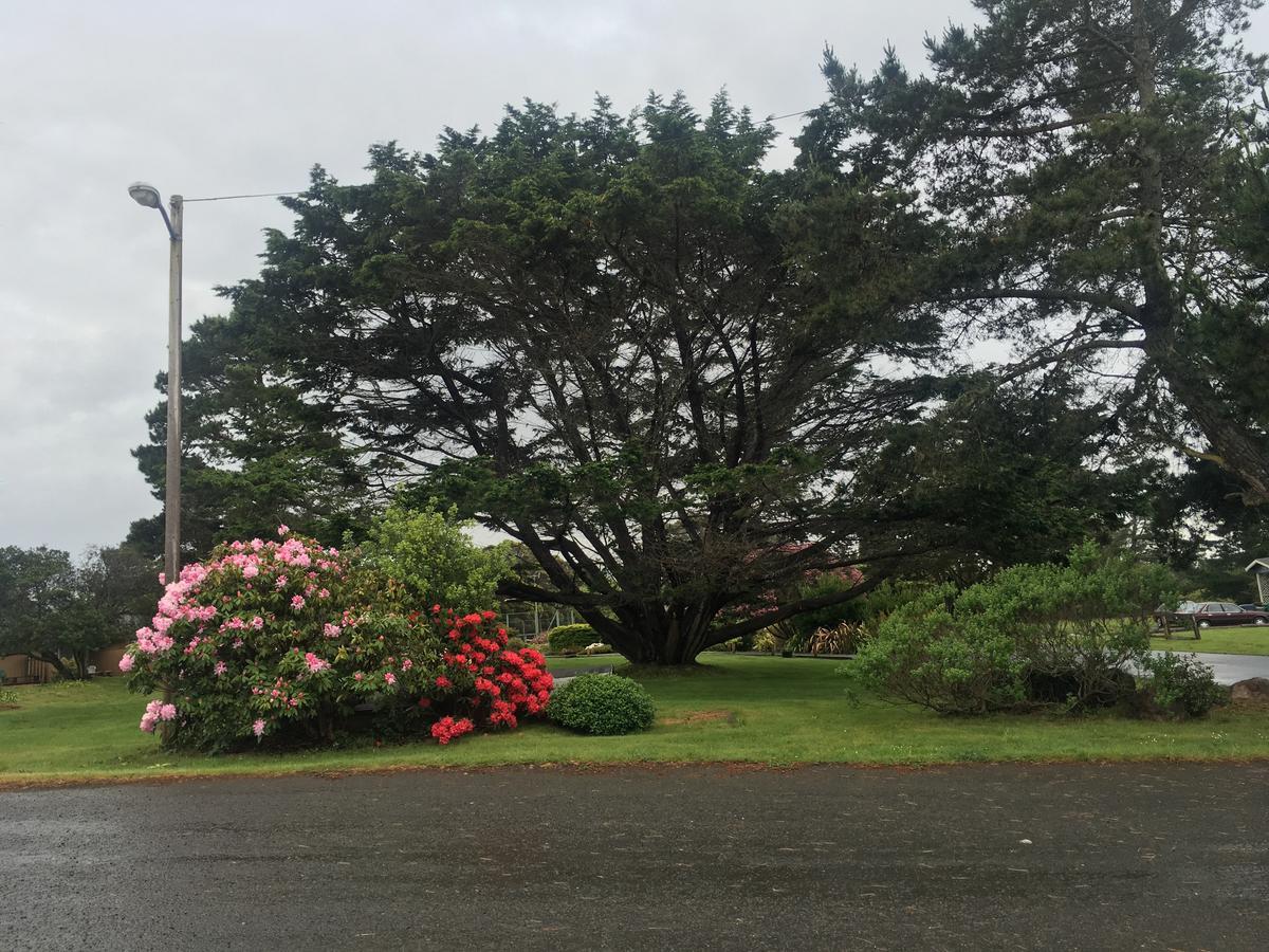 Pine Beach Inn Fort Bragg Zewnętrze zdjęcie