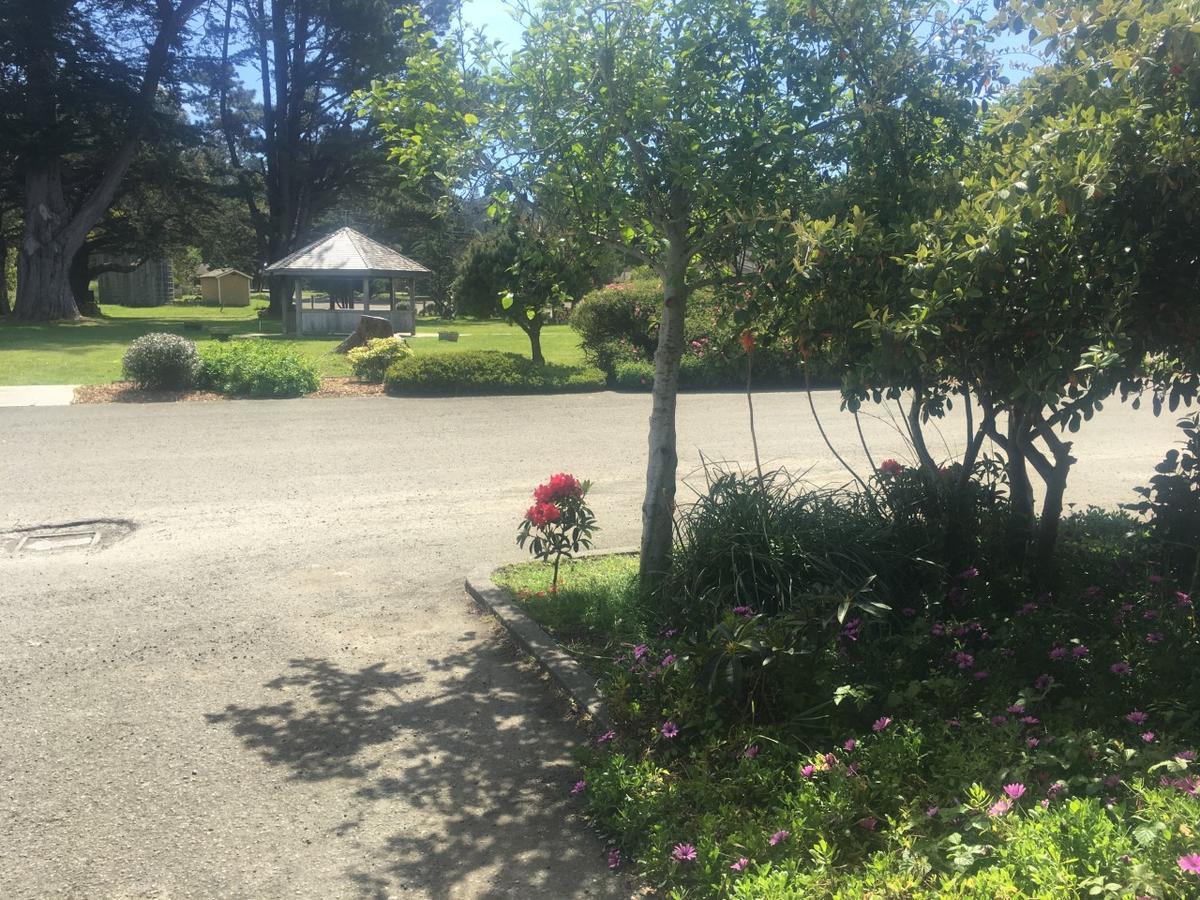 Pine Beach Inn Fort Bragg Zewnętrze zdjęcie